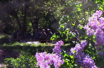 обеденный перерыв музей героев