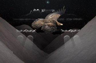 стахановское соревнование семинаристы vs аборигены